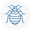 Bed Bug Extermination In Breckland