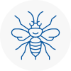 Breckland Hornet Nest Removals