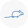 Mice Exterminators In Breckland