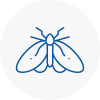 Moth Control Specialists In Breckland
