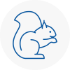 Breckland Rodent Removals