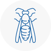 Breckland Wasp Nest Removal